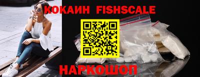 шишки Славгород