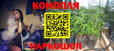 шишки Славгород